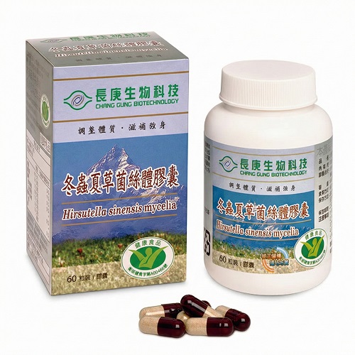 Hirsutella sinensis mycelia capsule